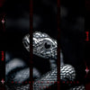 Wraith Coil Snake